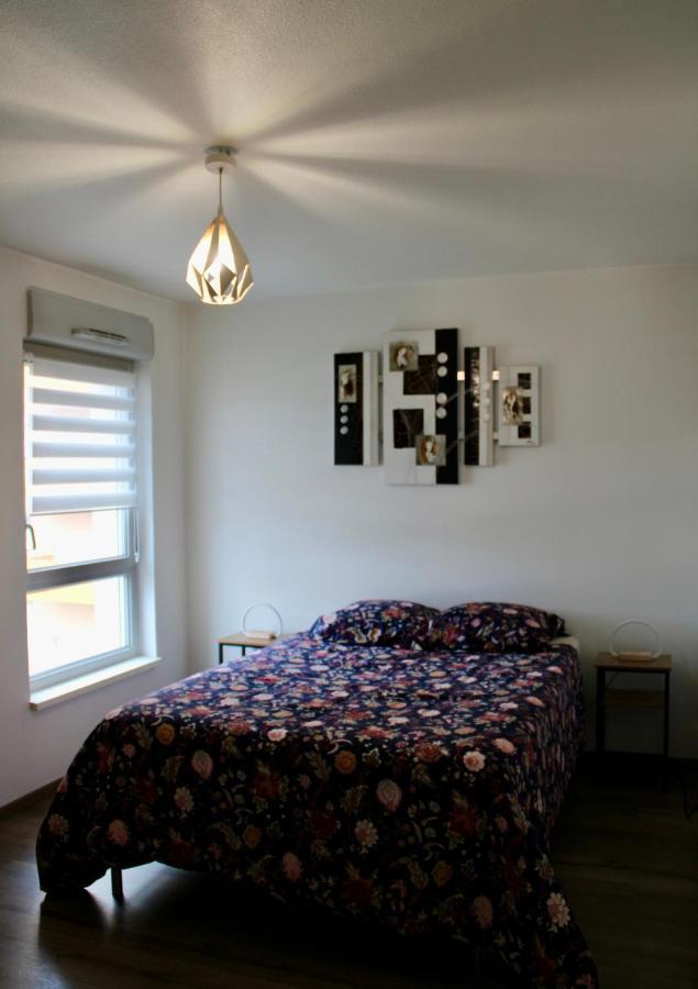 Appartement Confortable Avec Parking Prive Schiltigheim Eksteriør bilde
